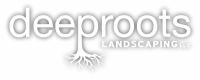 Deep roots landscaping