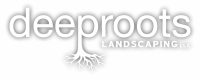 Deep roots landscaping, llc