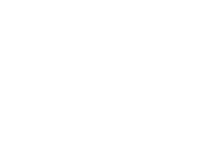 Delfino's chicago style pizza