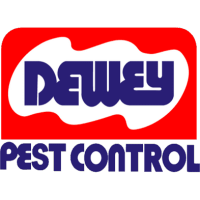 Dewey services inc