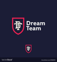 Denver dream team llc