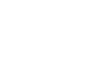 Diecks