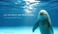 Digital porpoise, llc