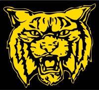 Dillon school district three