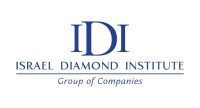 The dimon institute