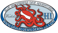 Blue wilderness dive adventures