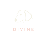 Divine k-9, llc