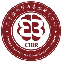 International summer school on deep learning