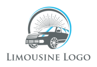 Driver & limousine