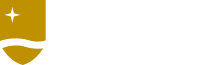 Du lac wealth services