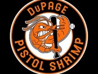 Dupage pistol shrimp