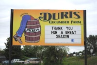 Duris cucumber farm