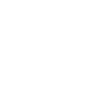 Dutch connections f.c. inc
