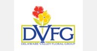 Dvfg