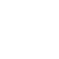 Dynamic vision