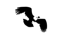 Eagle mountain marketing, llc