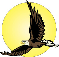 Eagles wings consulting