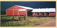 E bar z stables