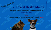 Eglin AFB Pet Welfare
