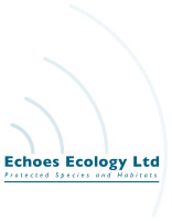 Echoes ecology ltd
