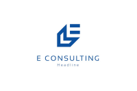 E-consultants