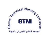 El gouna technical nursing institute