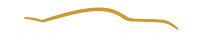 Elite auto experts