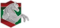 Elite equine partners llc