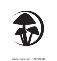 Elle mushrooms