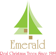 Emerald christmas tree co