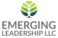 Emergent leadership llc