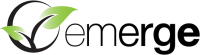 Emerge coaching and consulting services