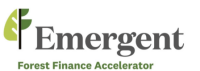 Emergent forest finance accelerator