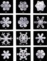 Emergent structures inc