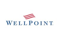 Well point inc