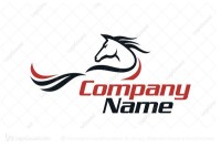 Equine dynamics