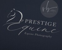 Equine energetix