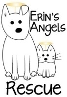 Erins angels