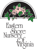 Eastern shore nursery virginia