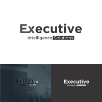Executive intelligence solutions