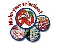 Falmouth fish market inc