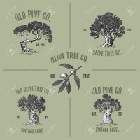Kyistitches | Olive & Pine