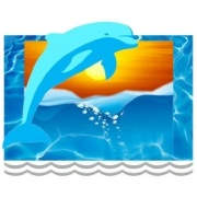 Farnsworth swim school