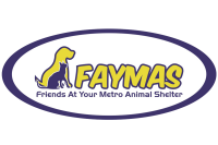 Faymas - friends at your metro animal shelter