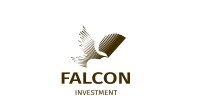 Falcon financial management