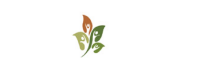 Figurelli chiropractic