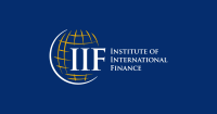 International finance institute