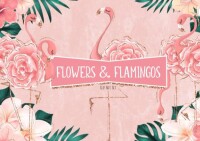 Flamingos at large