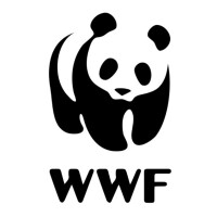 Flashing panda