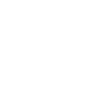 Flawlesskin cosmetics